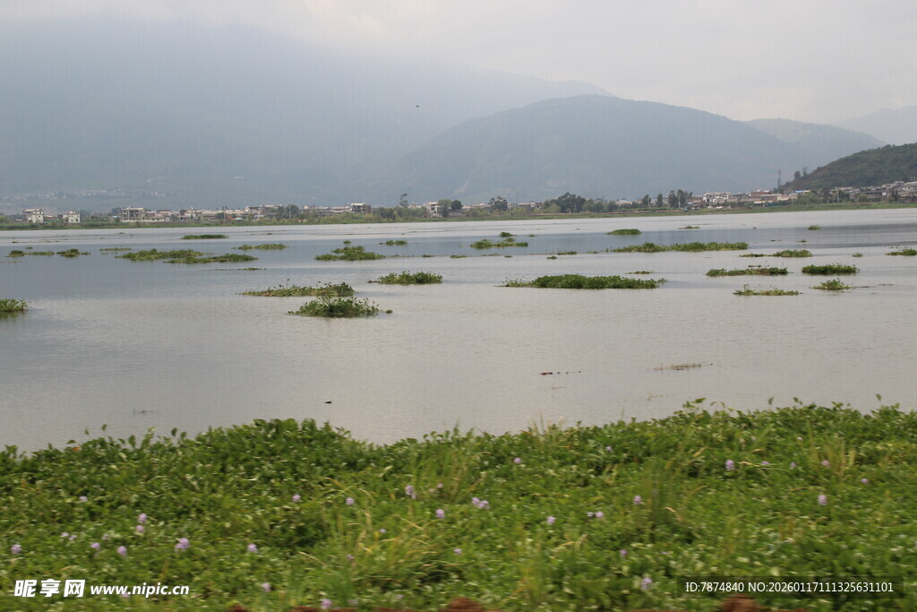 湿地风光 水草与远山相映