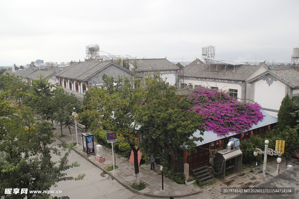 古街风景 绽放的紫色繁花