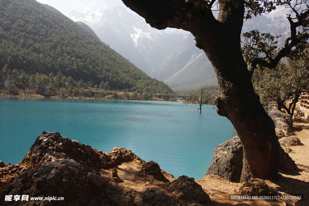 湖畔美景 青山碧水与孤树