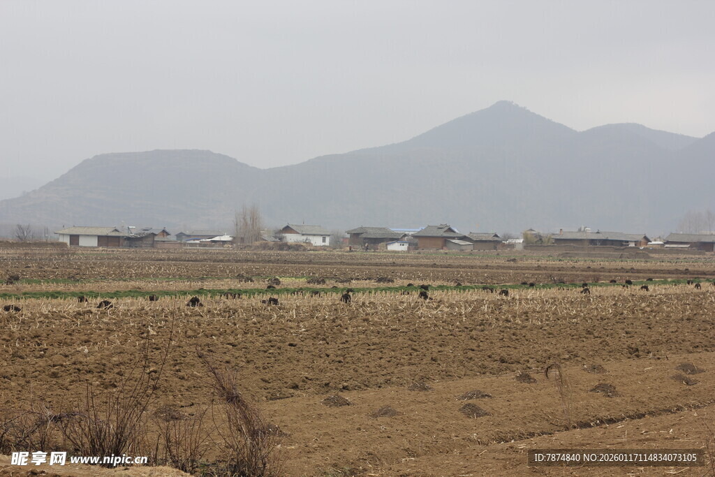 广袤田野与远处山峦