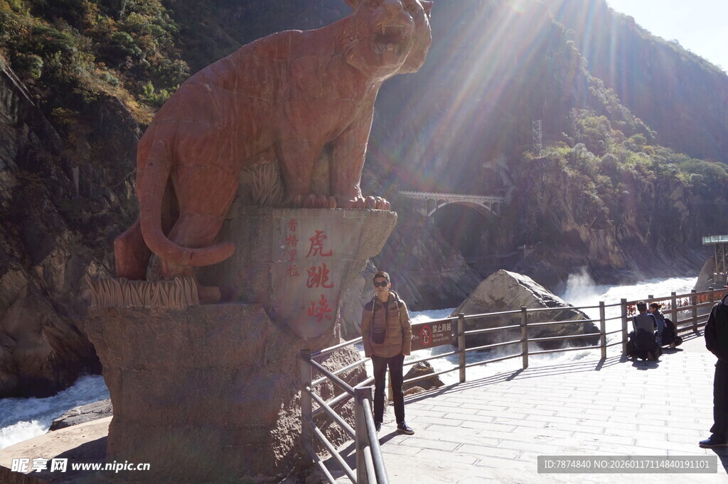 景区石塑虎雕像景观