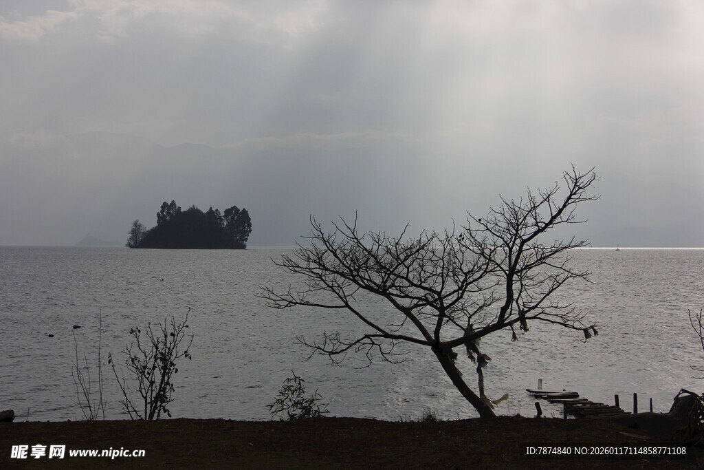 海上孤景 枯树与远船