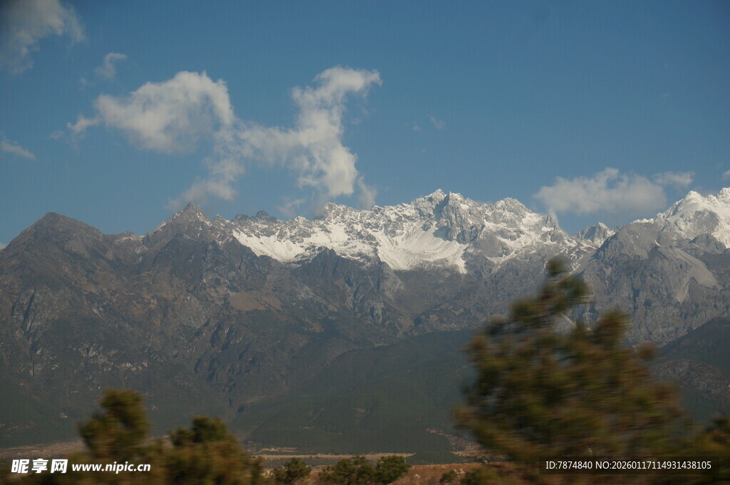 巍峨雪山与松林美景