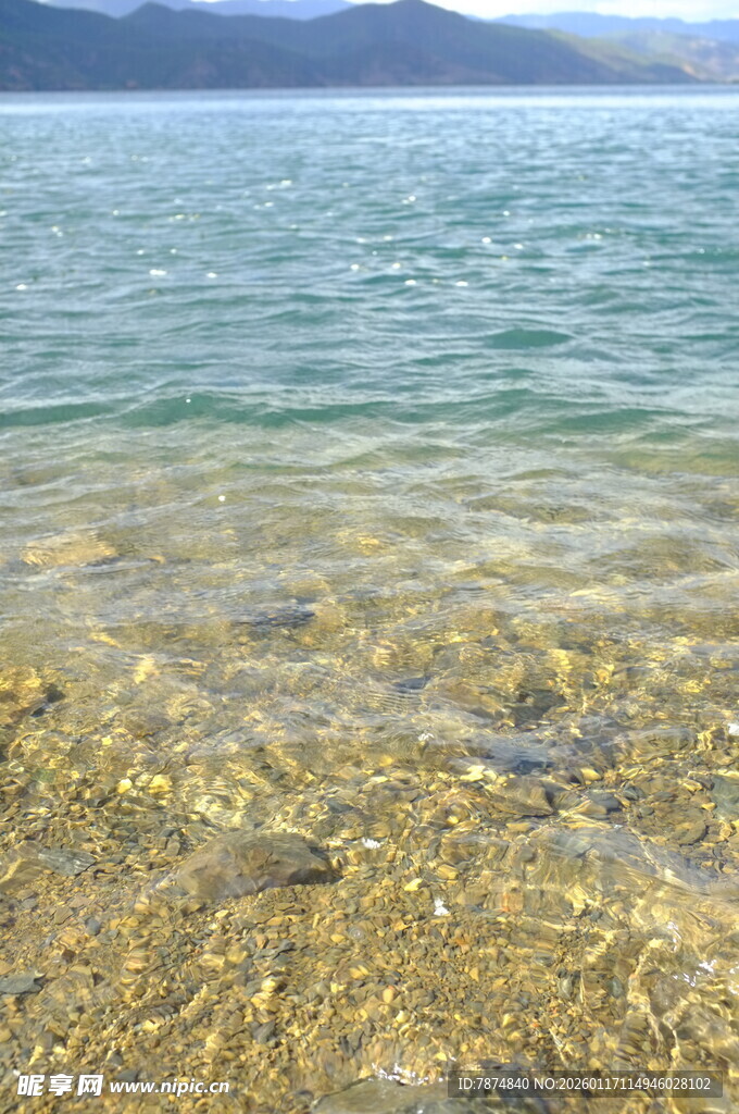 清澈海边的金色沙石景观