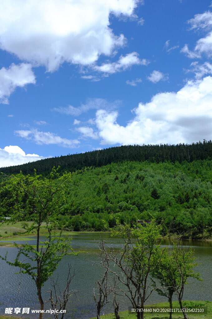 青山绿水间的宁静湖泊