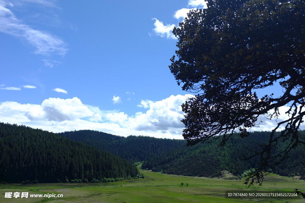 山间绿野蓝天美景