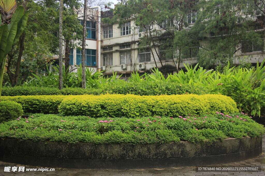庭院绿植景观