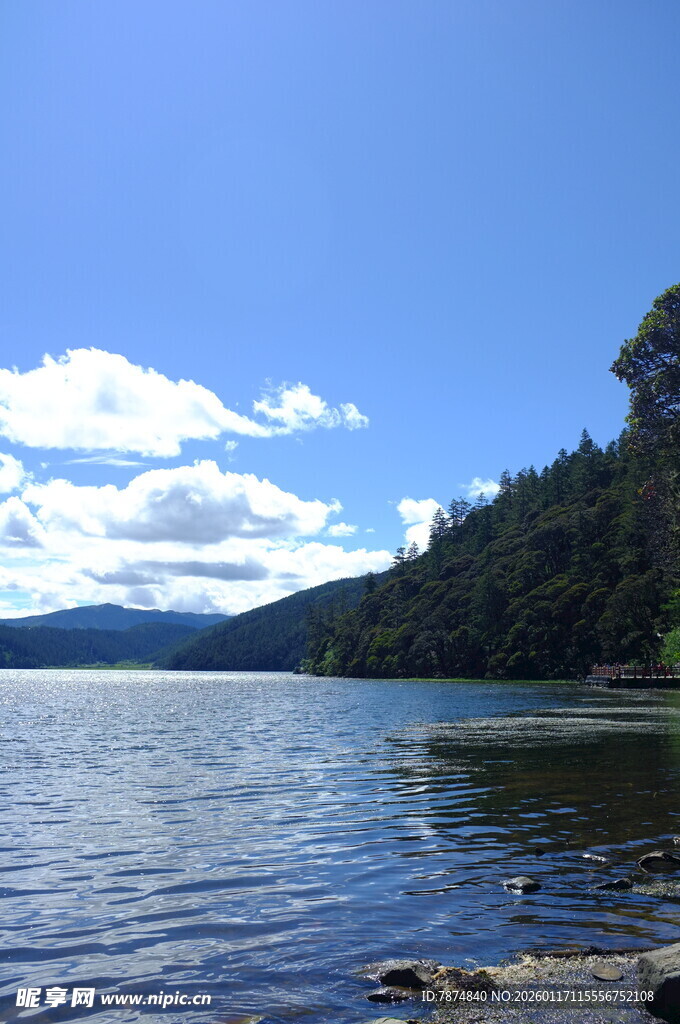宁静湖畔风景