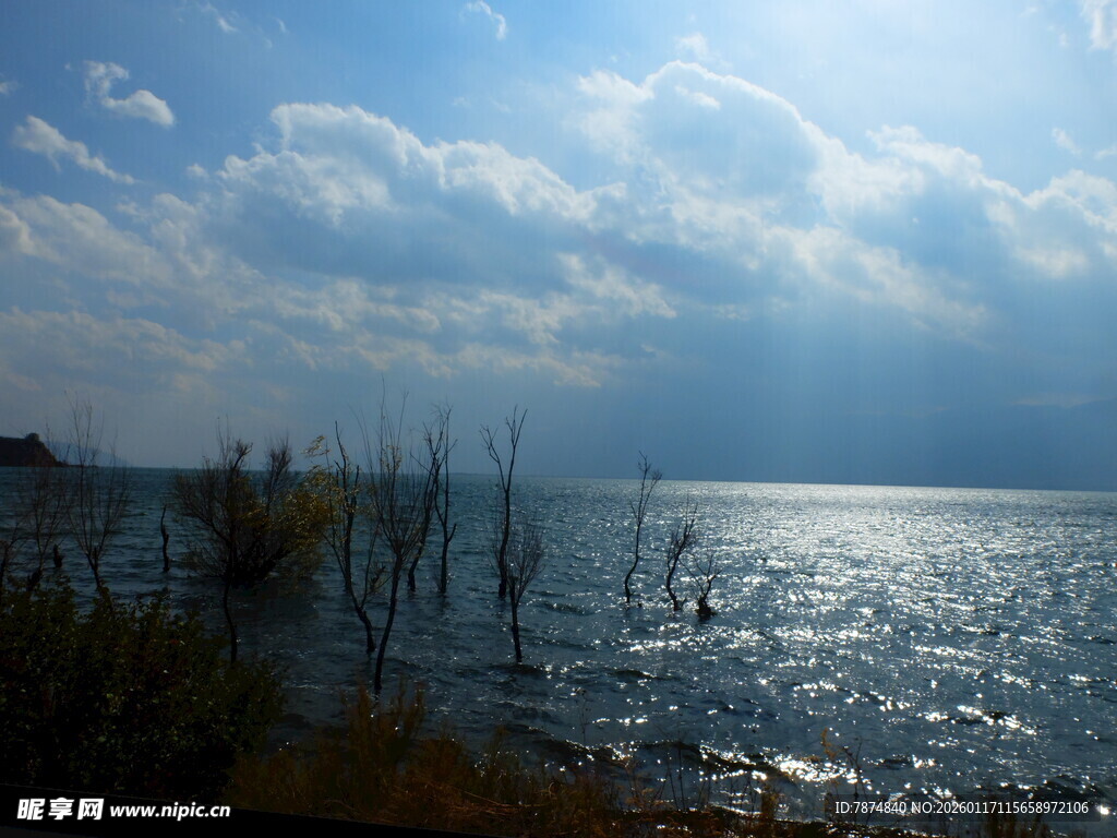湖畔阳光美景