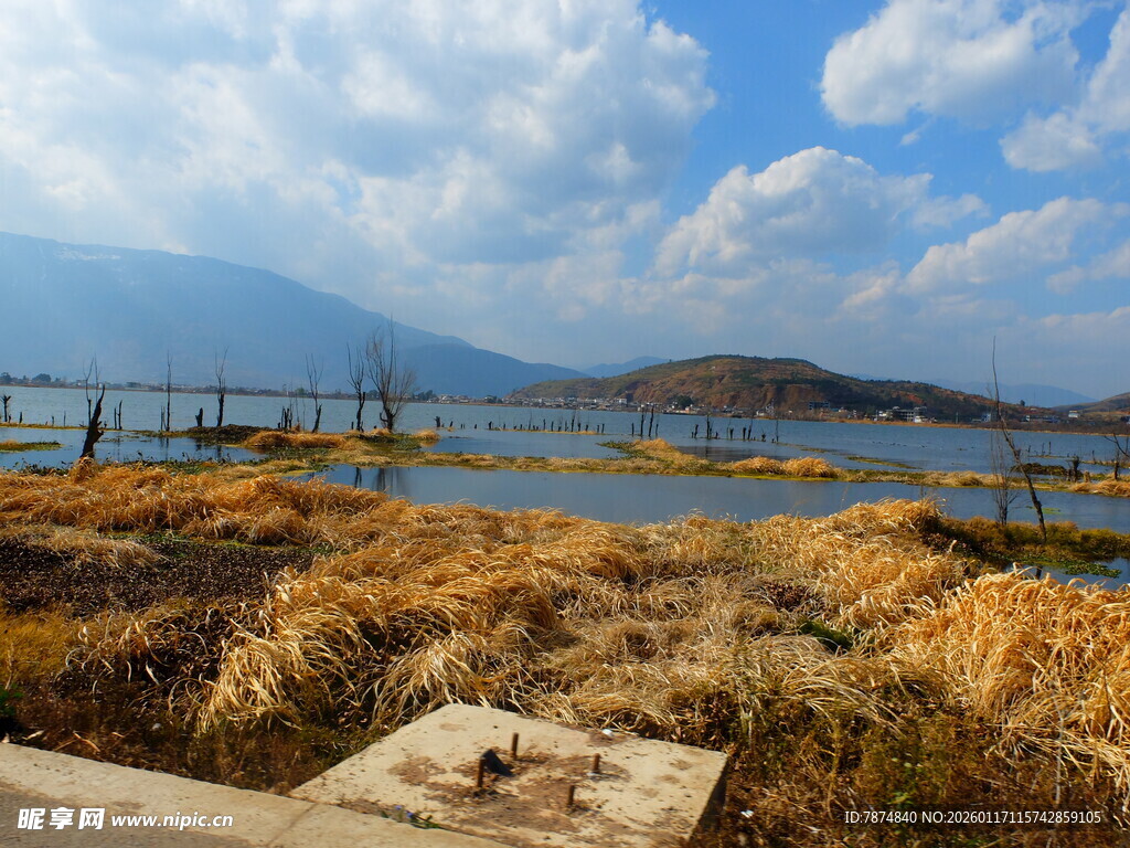 湖畔秋景 枯草远山蓝天