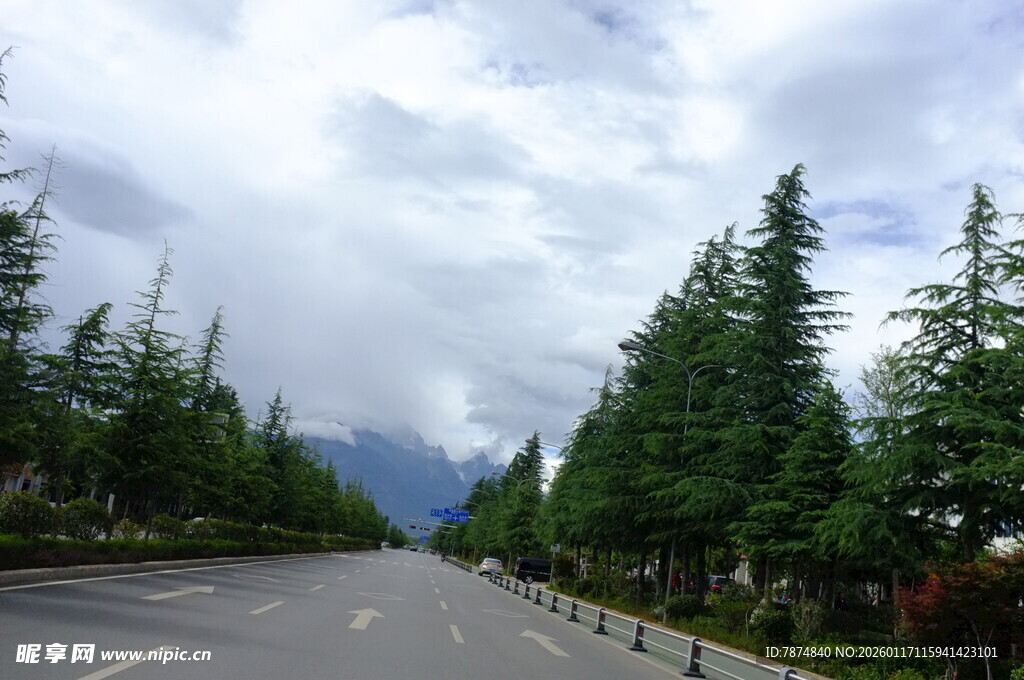 林间公路 静谧自然之景