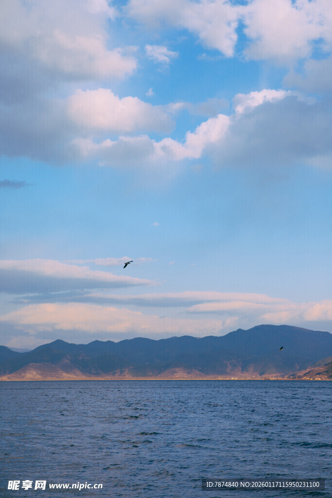 蓝天碧水间飞鸟伴远山