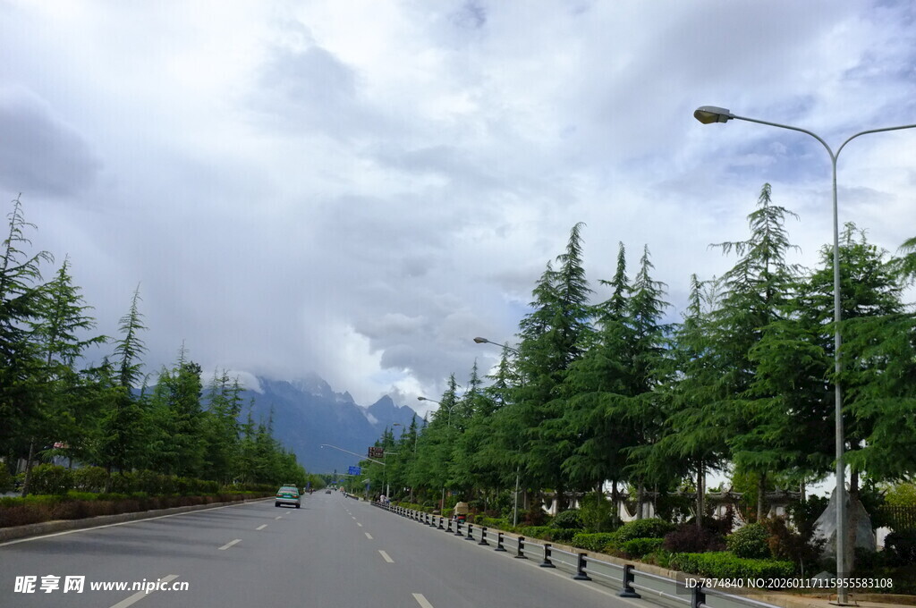 宽阔公路旁的葱郁绿树