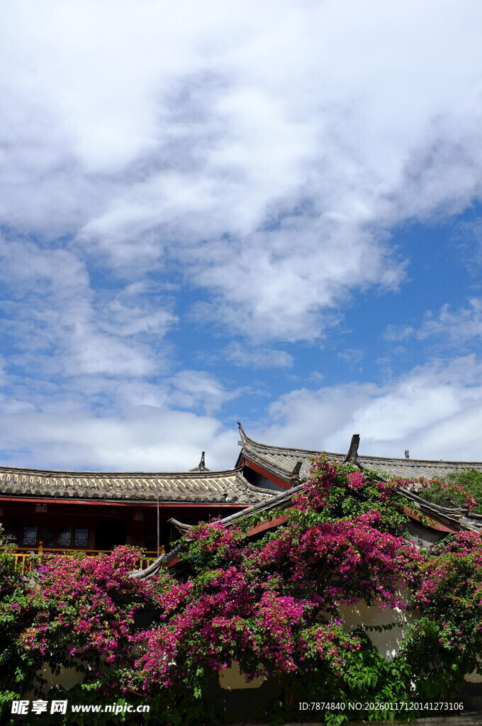 古建旁绽放的艳丽繁花