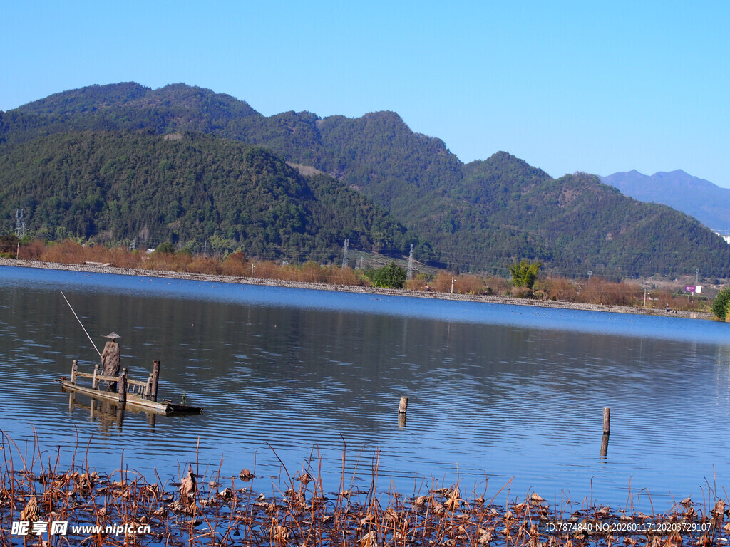 湖畔秋景 远山碧水残荷
