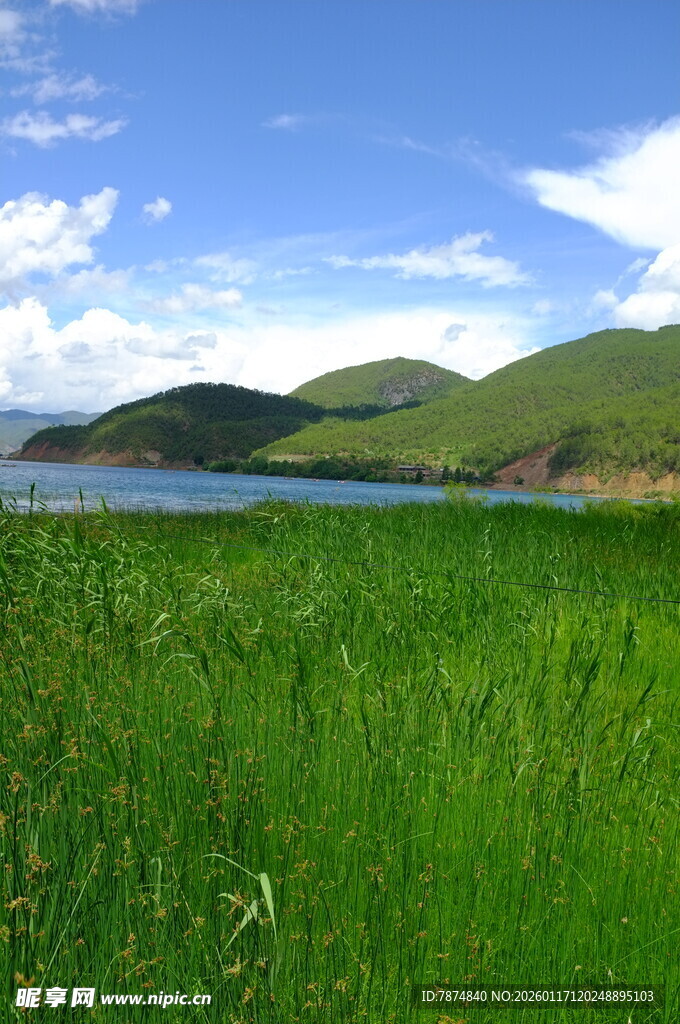 草原湖畔美景