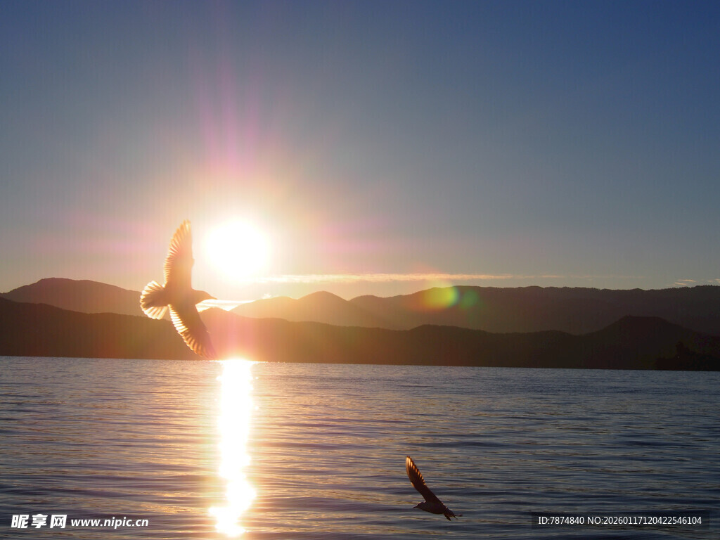 夕阳下飞鸟掠过平静湖面