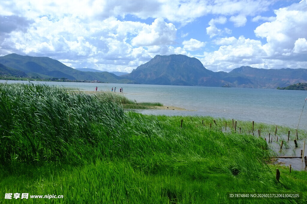 湖畔绿野与远山美景