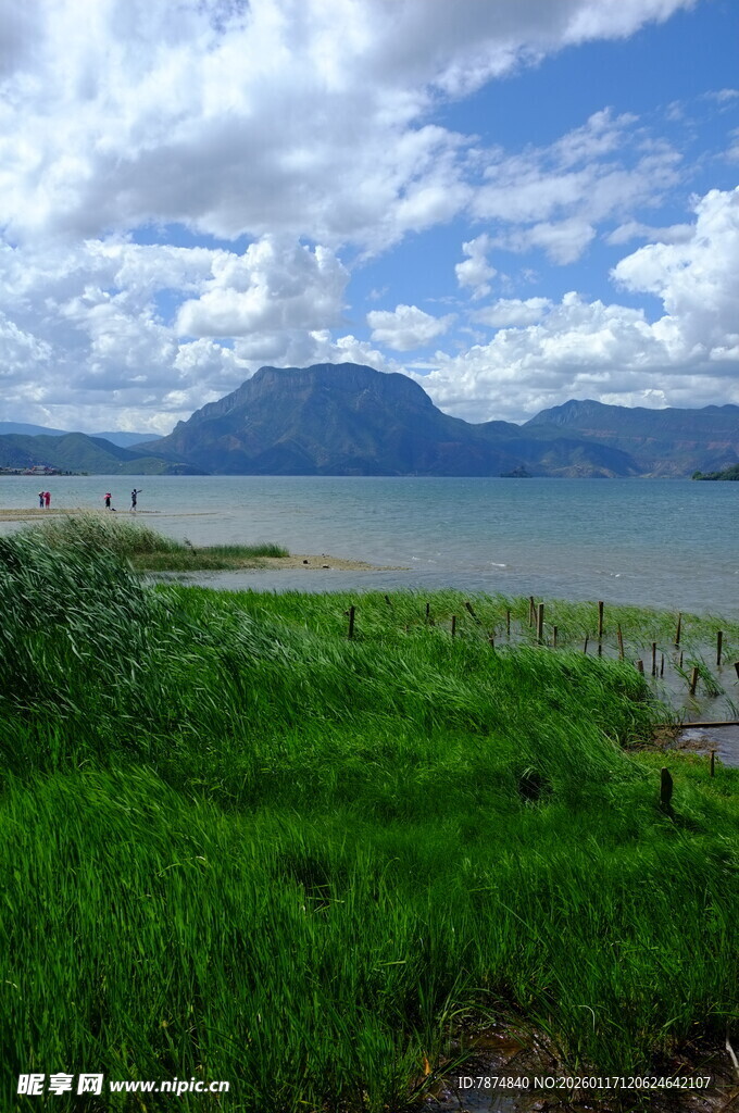 湖畔青山绿草风景如画