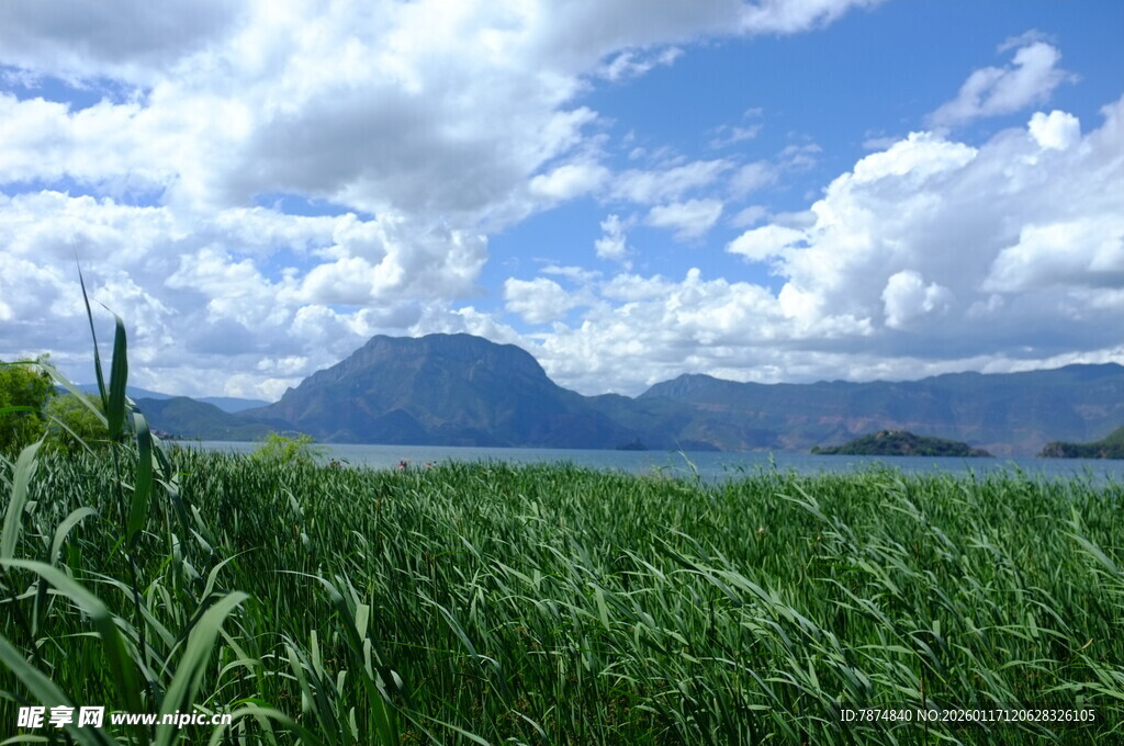 湖畔绿野间的远山美景