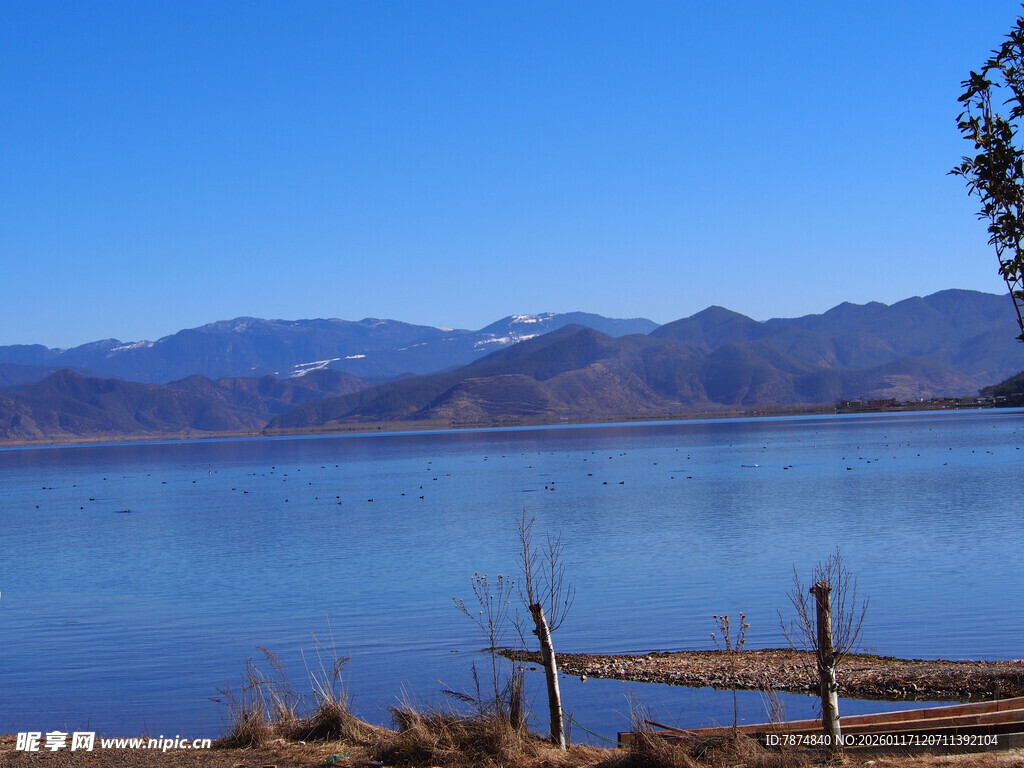 宁静湖畔的简易木架景观