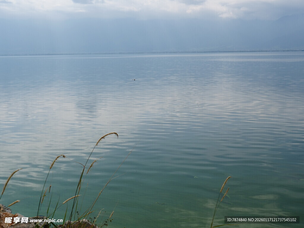 宁静湖面与岸边景致