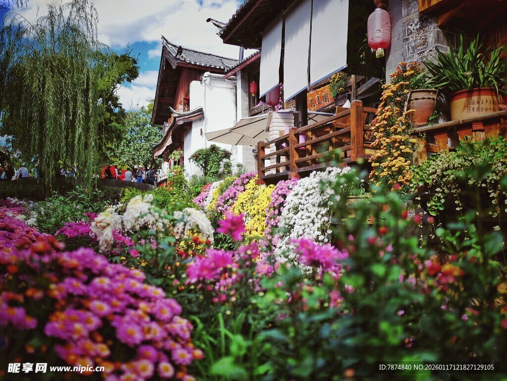 庭院繁花似锦的美丽景致