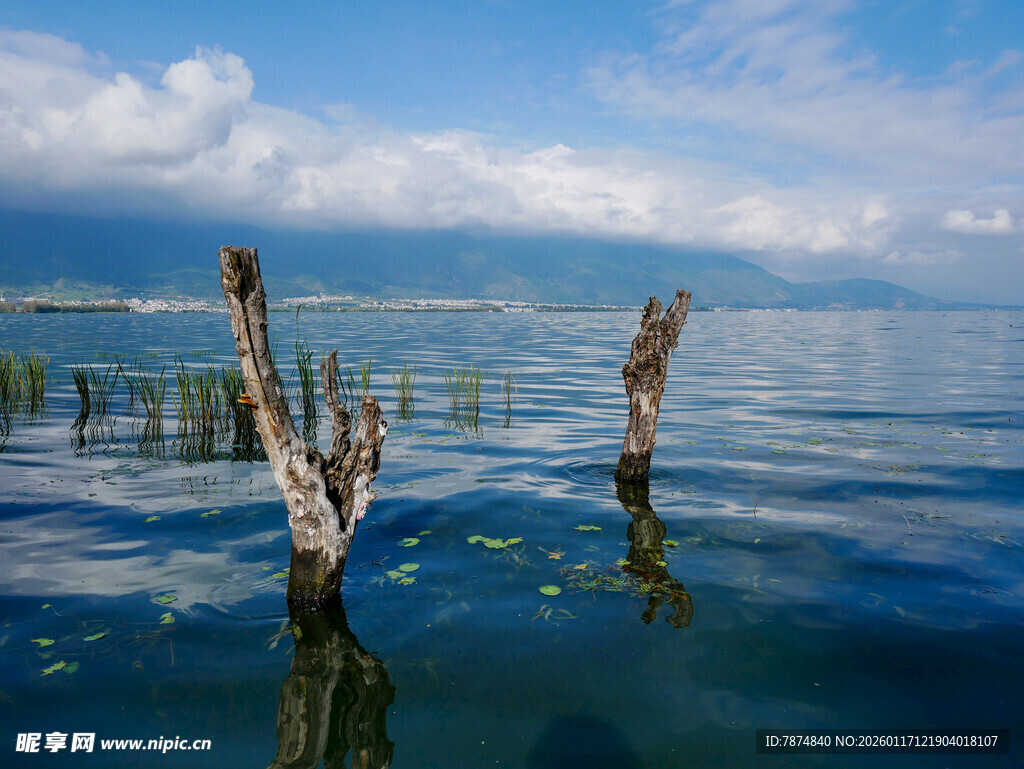 水中枯木与蓝天相映成景