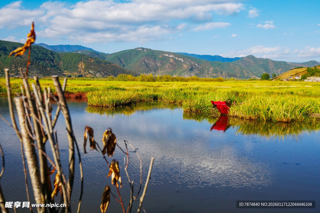 湖畔湿地风光
