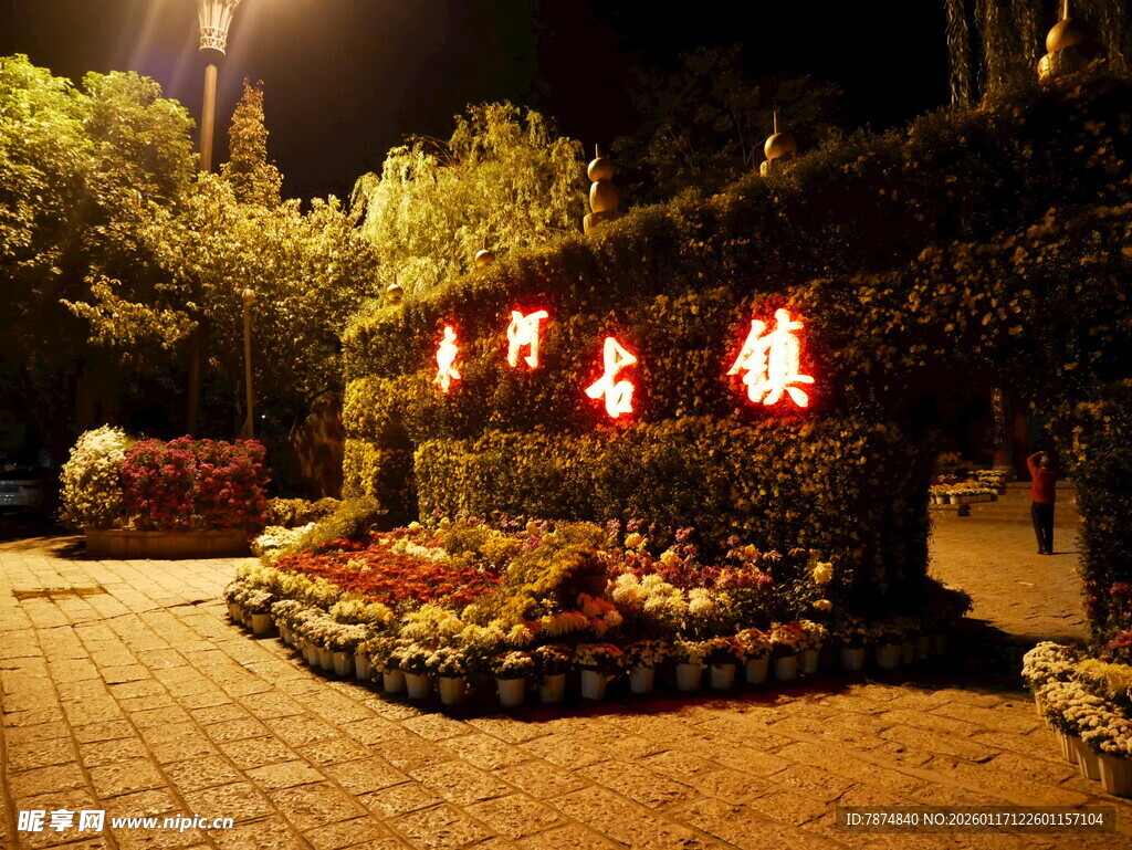 夜晚街边的鲜花绿植景观