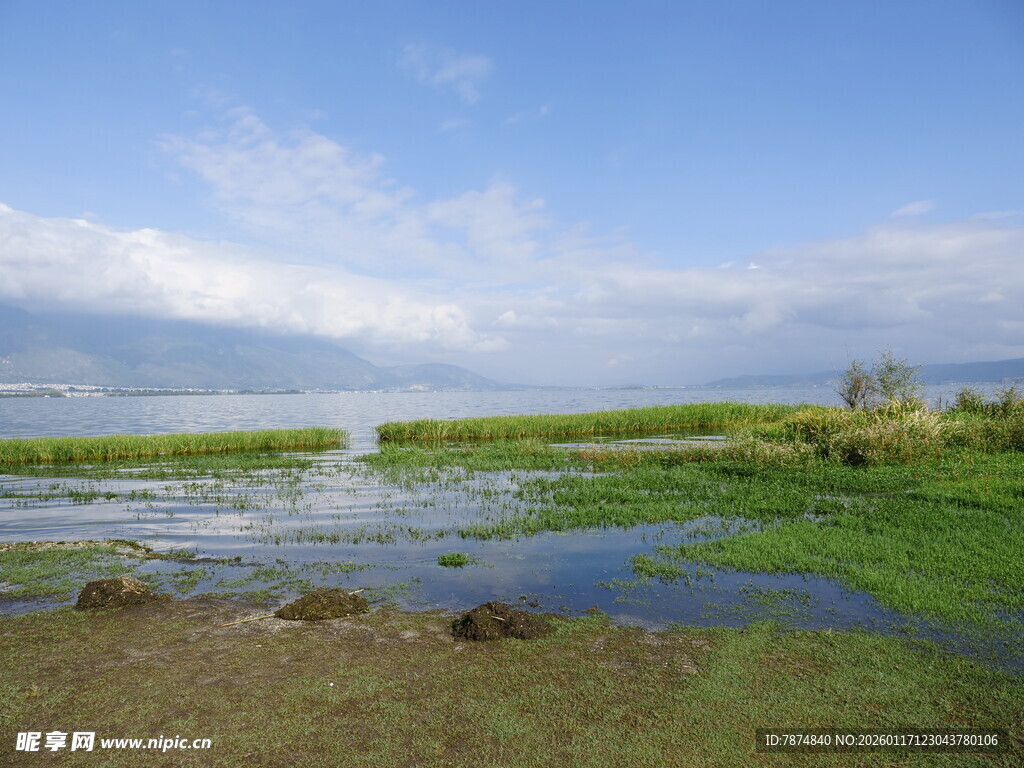 湖畔湿地美景