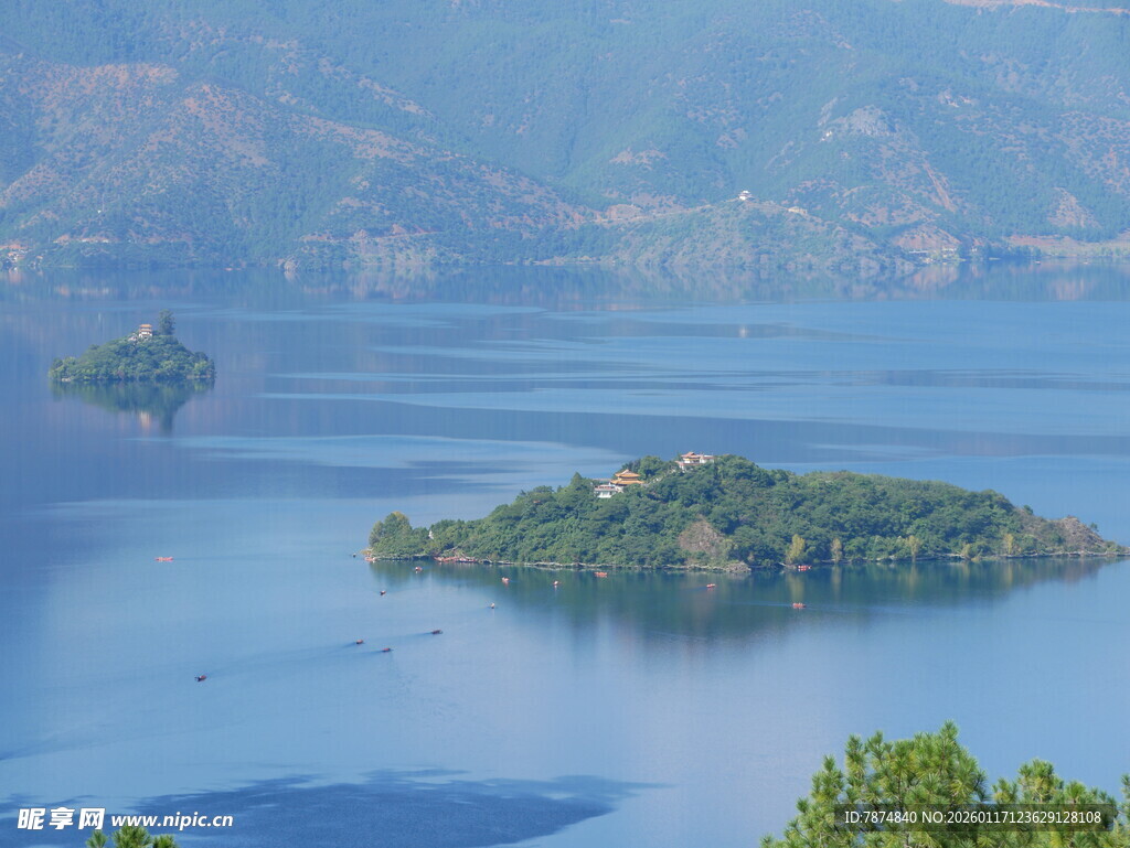 美丽湖景中的葱郁小岛