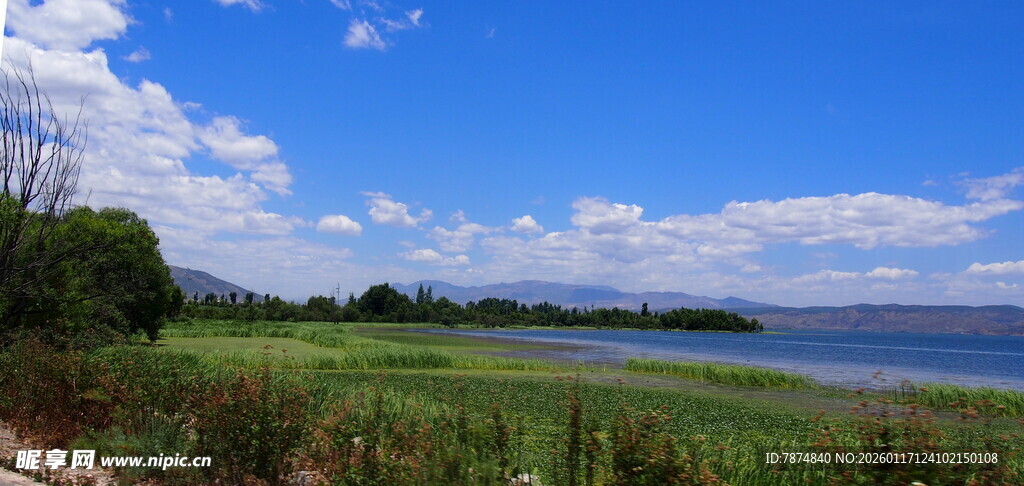 湖畔绿野蓝天美景