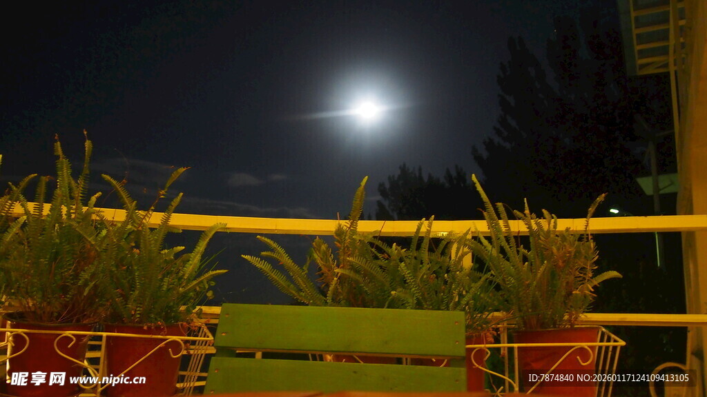 月夜下的绿植与栏杆景观