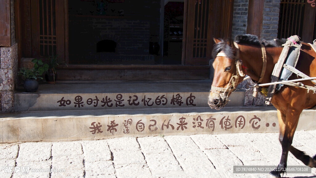 古巷旁的骏马