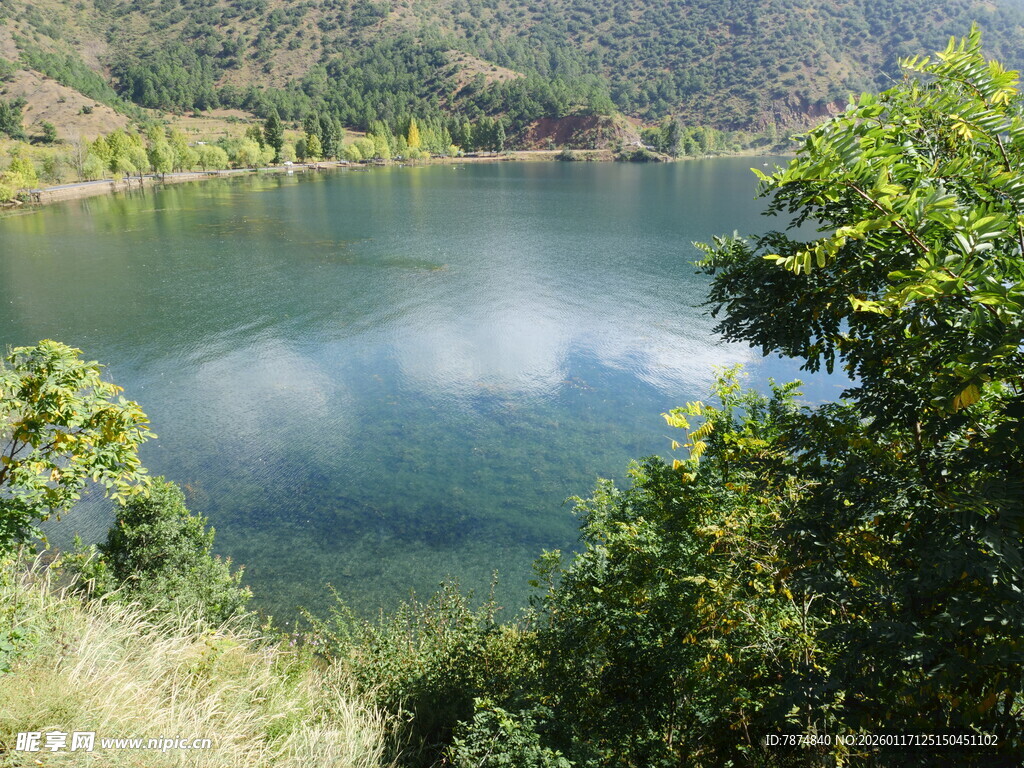 宁静湖畔绿意环绕的美景