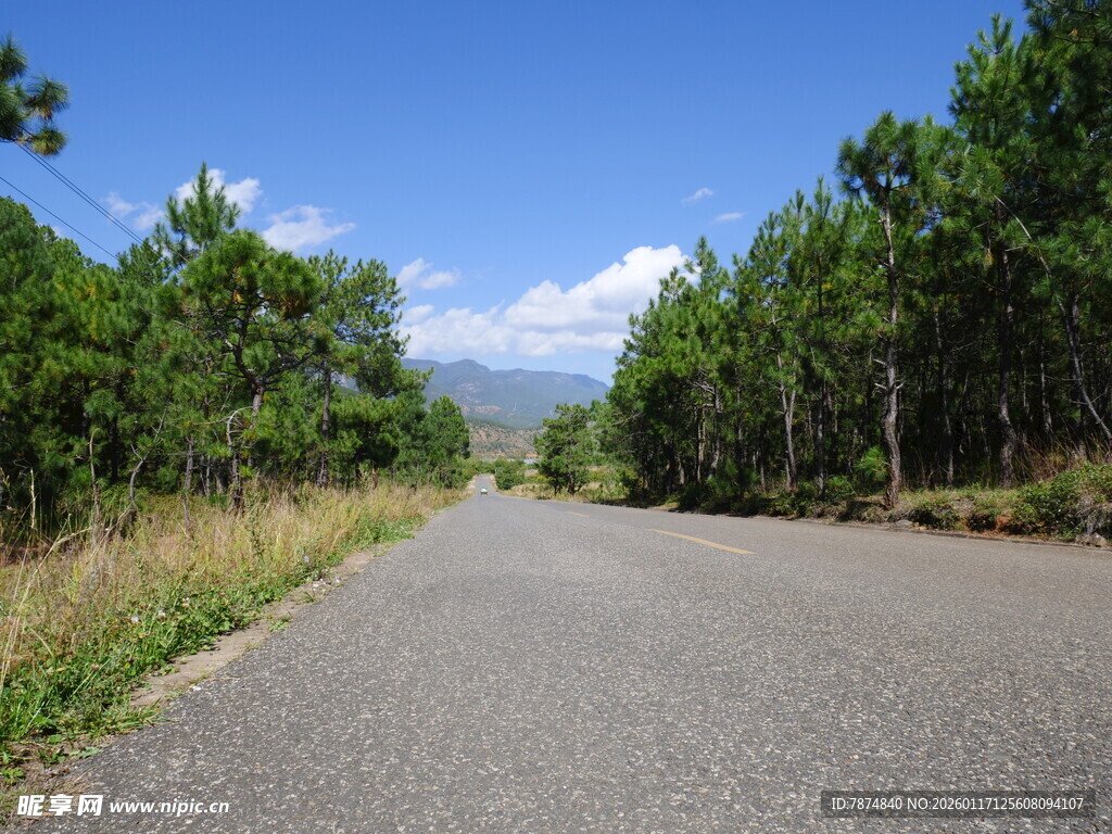 林间公路 通往自然的旅程