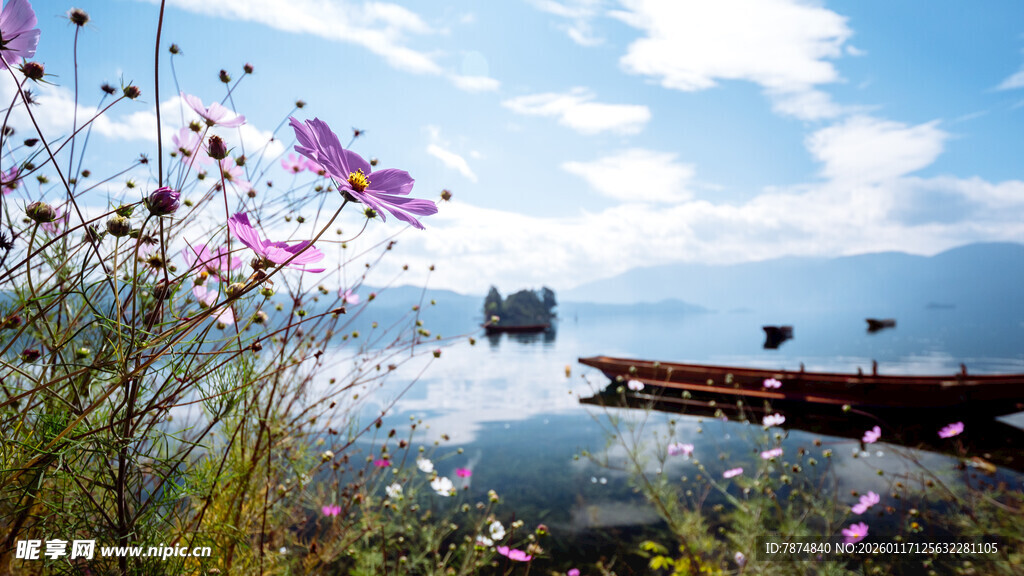 湖畔繁花与远处桥梁美景