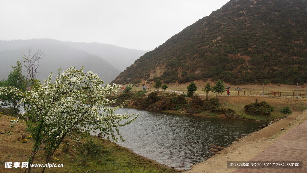 山间河畔的静谧景致