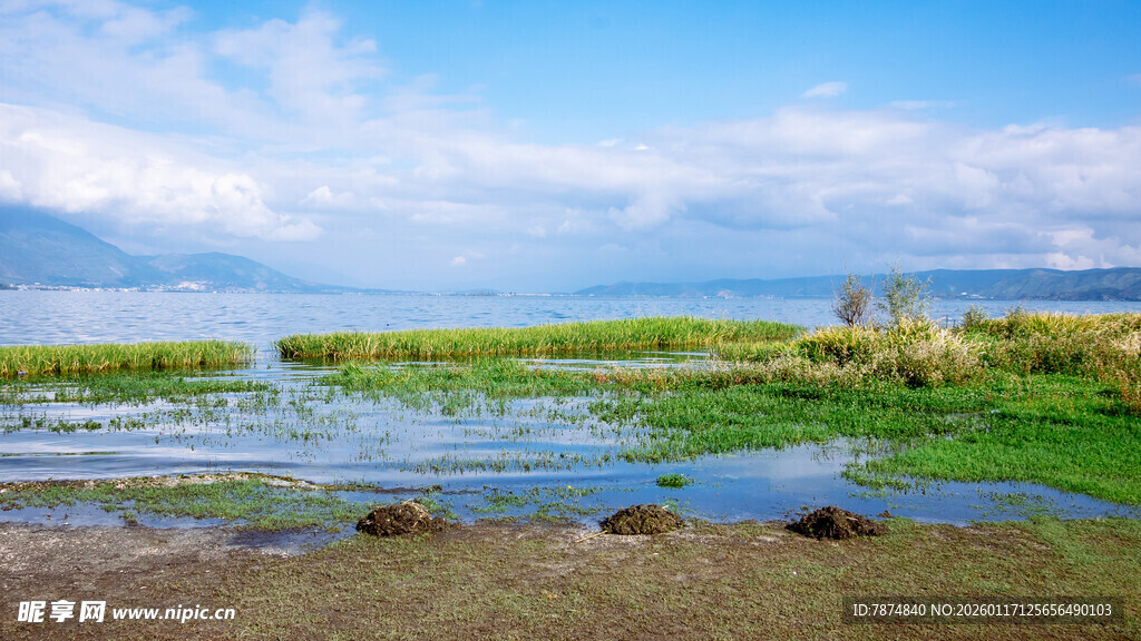 湖畔湿地美景