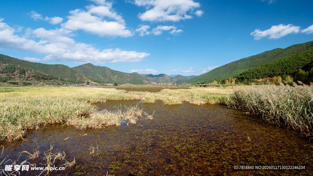 山间溪流美景