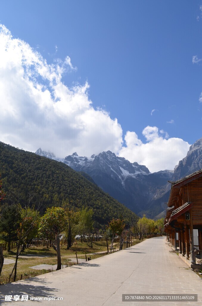 山间小道旁的秀丽风景