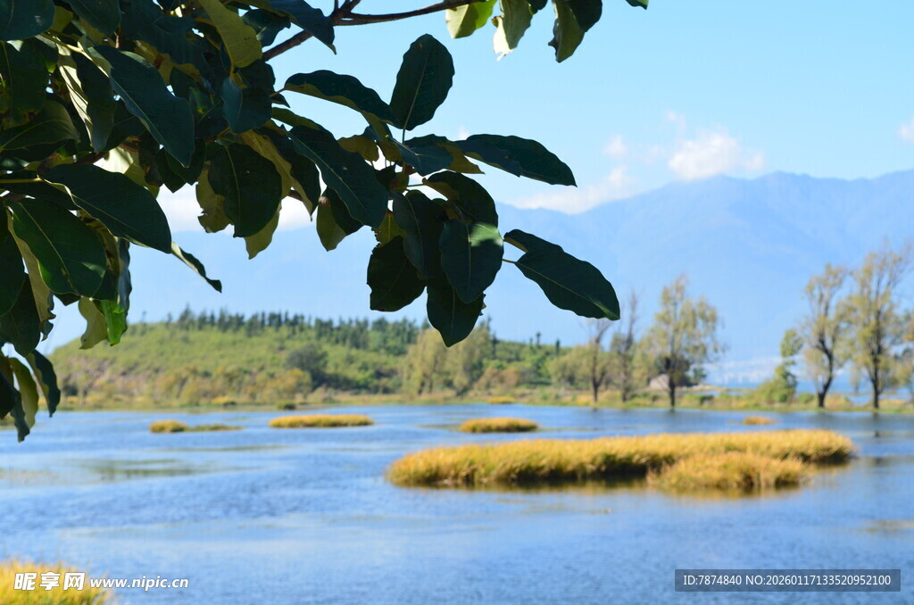 湖畔美景 自然清新风光
