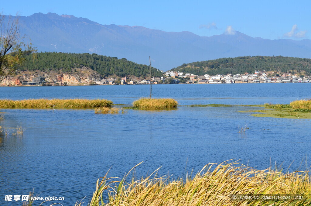 湖畔美景 远山近草映蓝天
