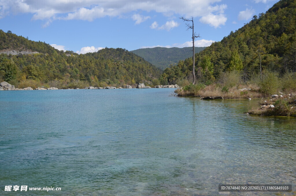 清澈湖水旁的山林风光
