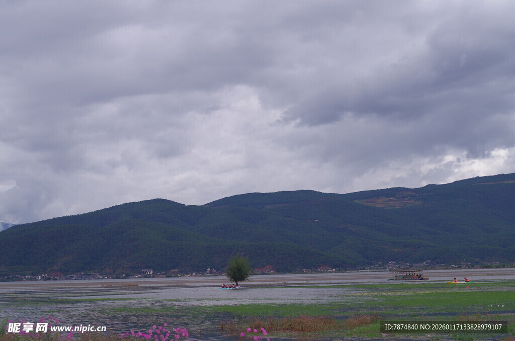山间花海 阴云下的自然美景