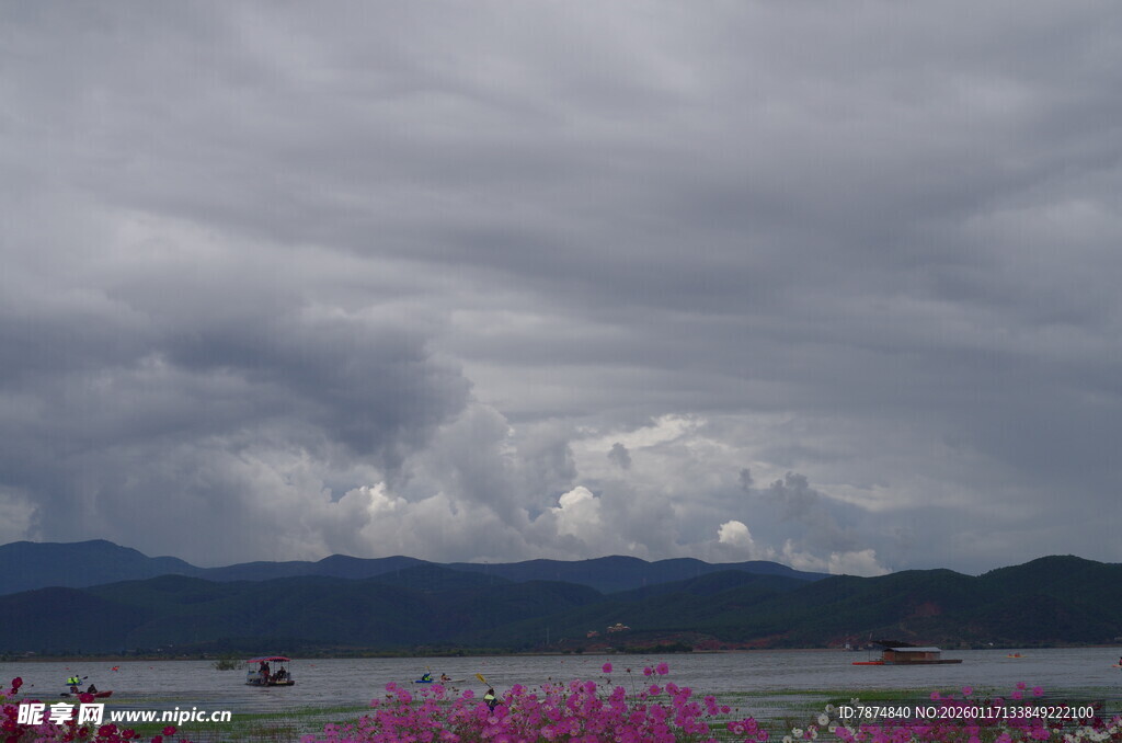 阴天下的湖畔花海景观