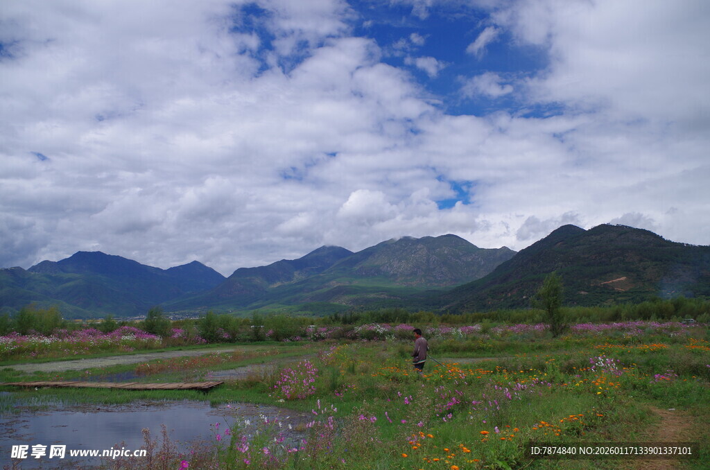 山间湿地美景