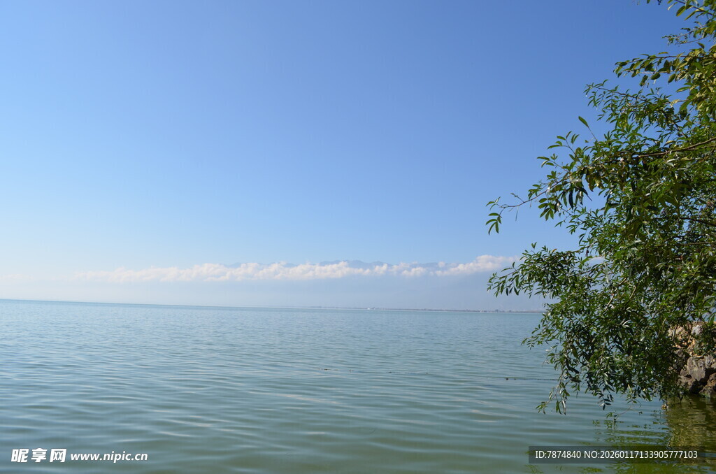 湖畔绿树映碧波美景