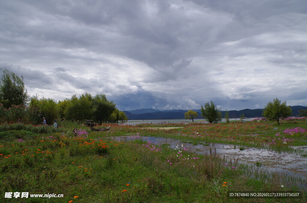 雨后草原风光
